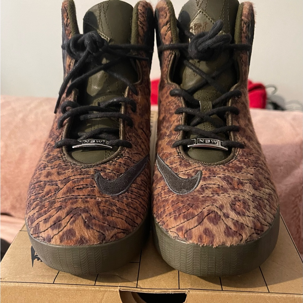 Nike Lebron